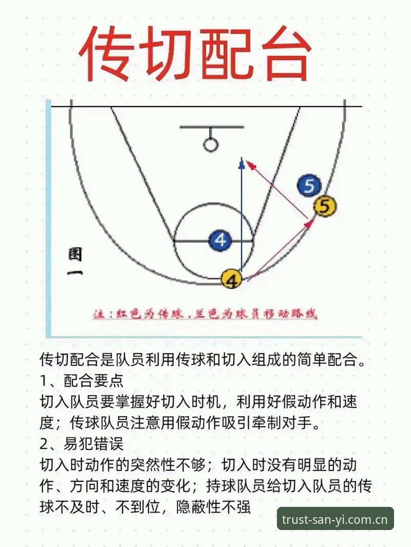 揭秘三亿体育官网入口手机版：一个实战派的完整操作指南